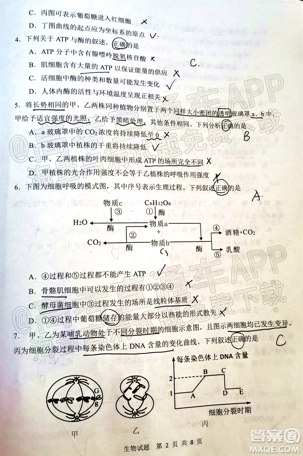 渭南市2022屆高三教學(xué)質(zhì)量檢測(cè)1生物試題及答案