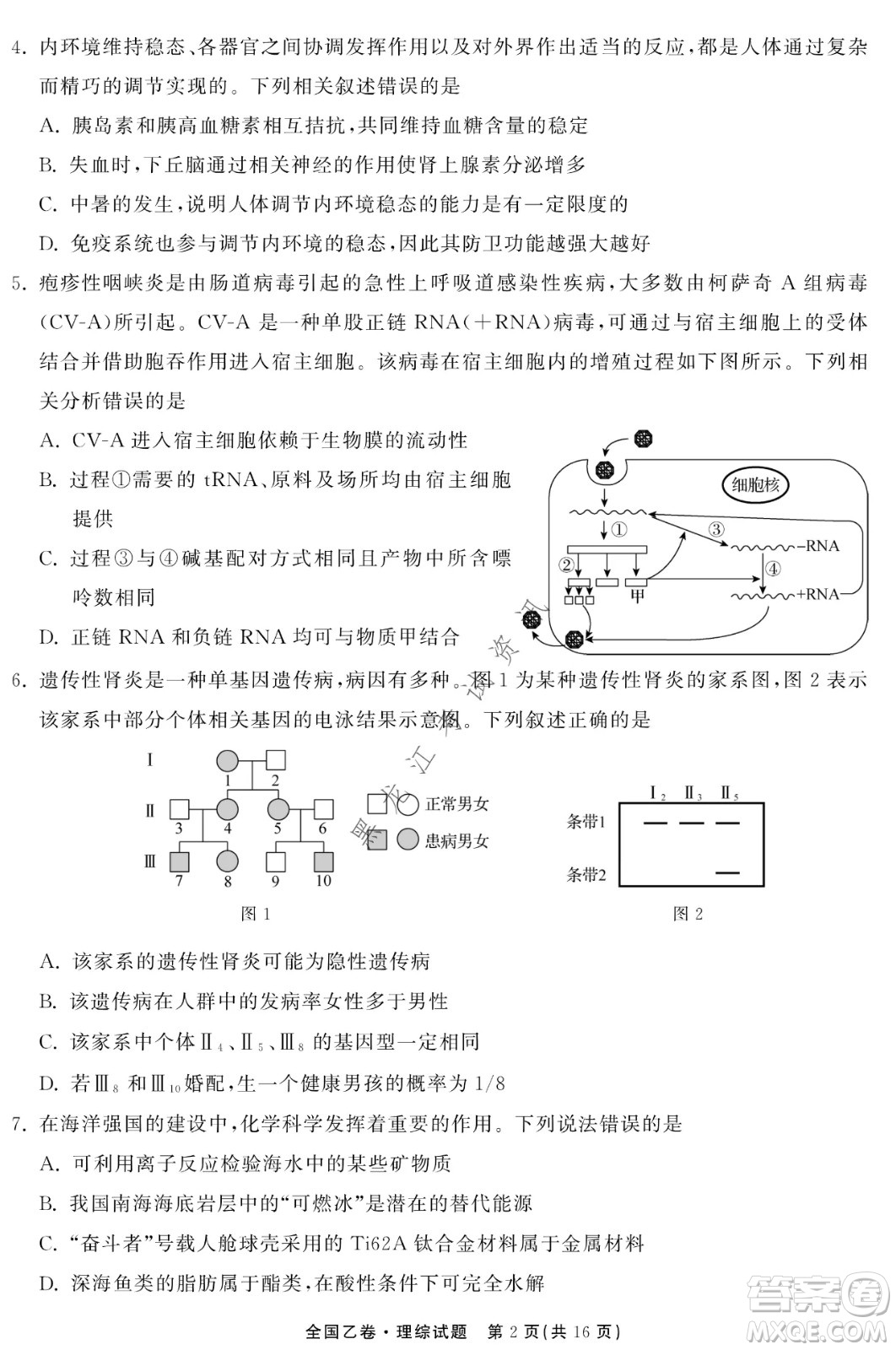 衡中同卷2022屆全國高三第二次學(xué)業(yè)質(zhì)量聯(lián)合檢測乙卷理綜試題及答案