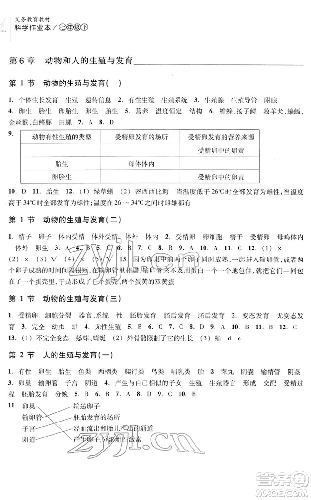 浙江教育出版社2022科學(xué)作業(yè)本七年級下冊H華東師大版AB本答案