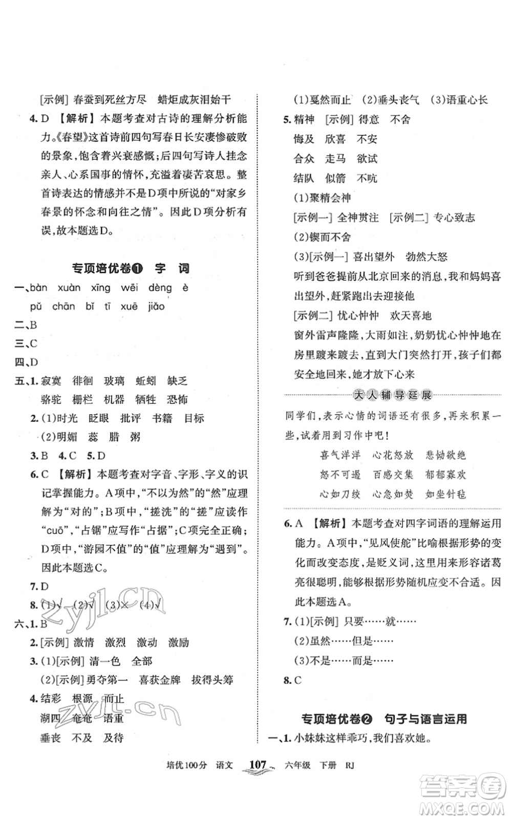 江西人民出版社2022王朝霞培優(yōu)100分六年級(jí)語(yǔ)文下冊(cè)RJ人教版答案