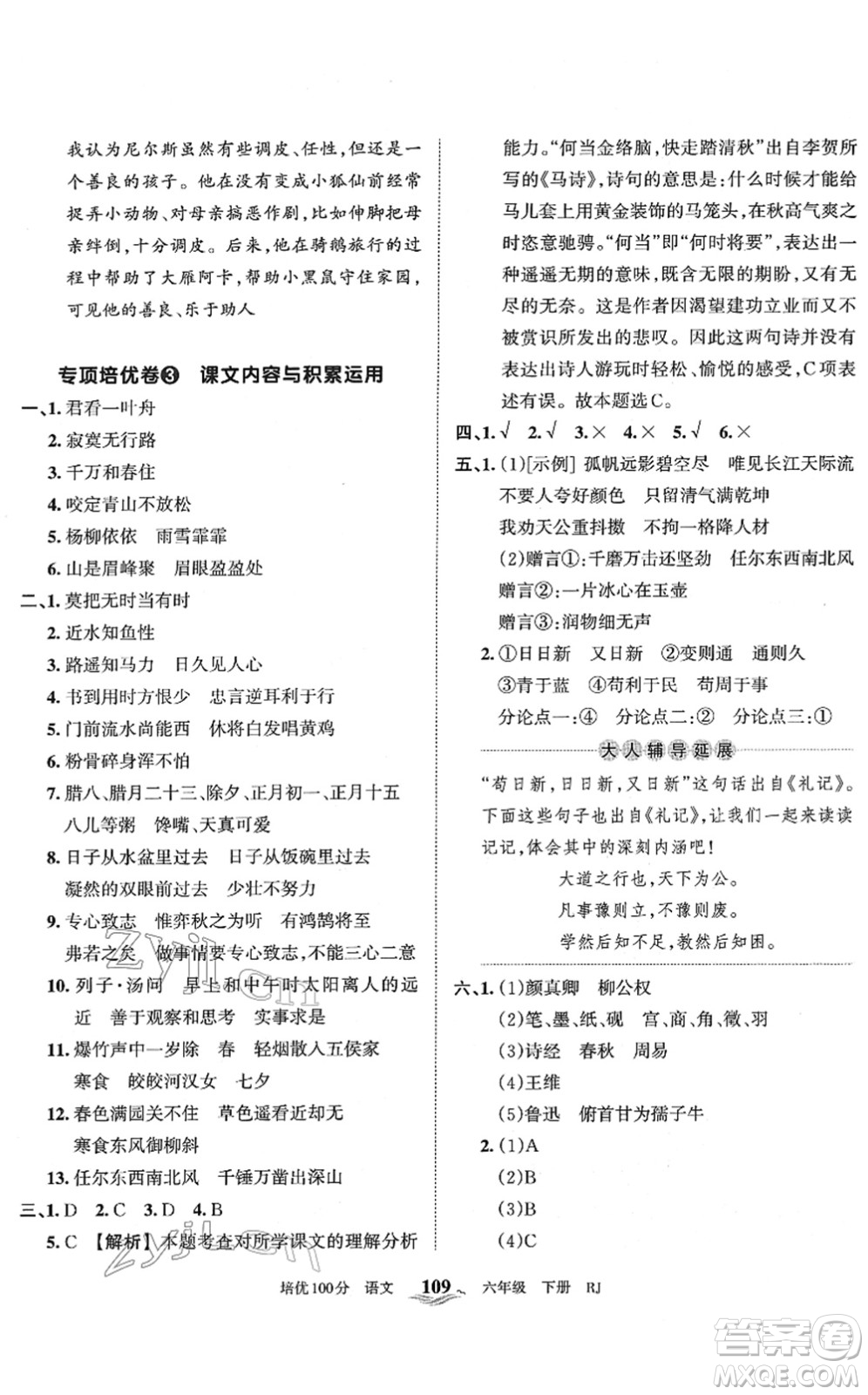 江西人民出版社2022王朝霞培優(yōu)100分六年級(jí)語(yǔ)文下冊(cè)RJ人教版答案