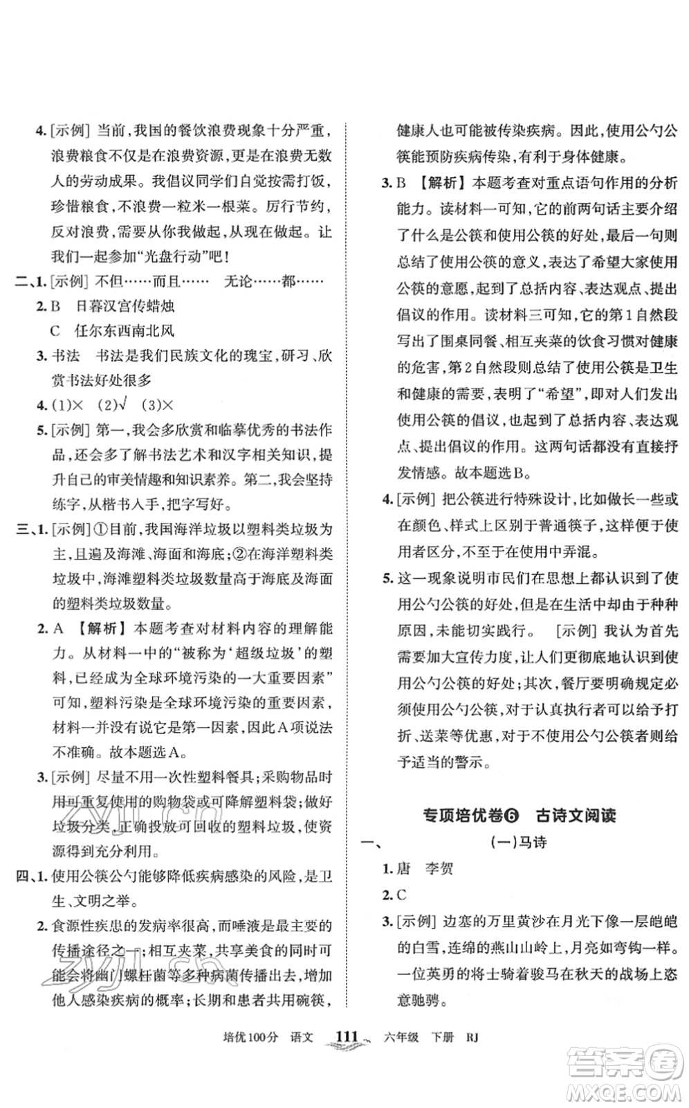 江西人民出版社2022王朝霞培優(yōu)100分六年級(jí)語(yǔ)文下冊(cè)RJ人教版答案