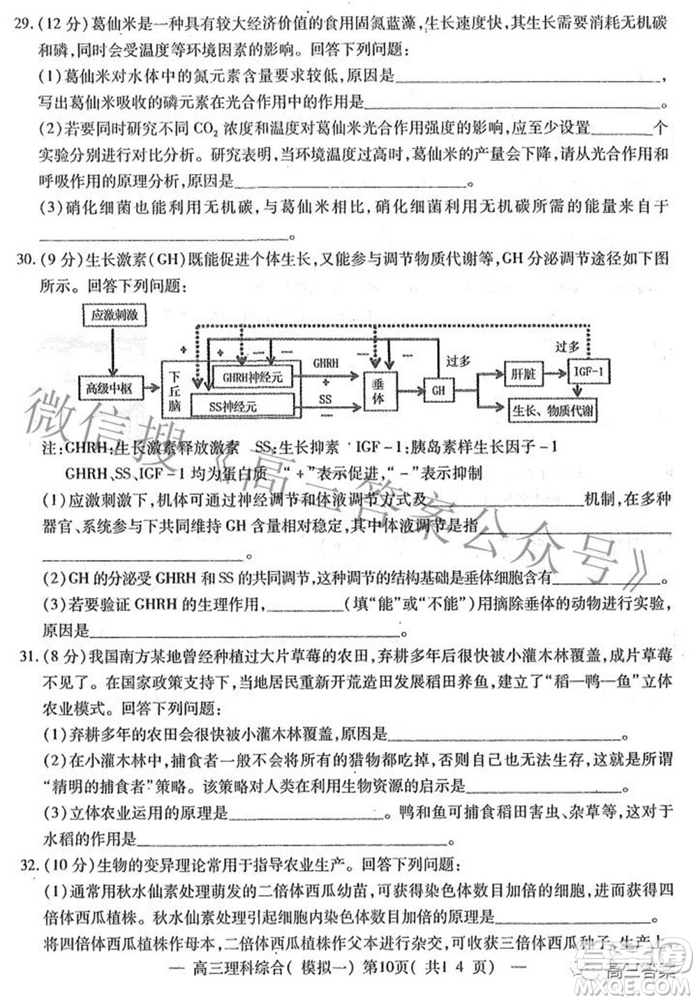 20220607項目第一次模擬測試卷理科綜合試題及答案