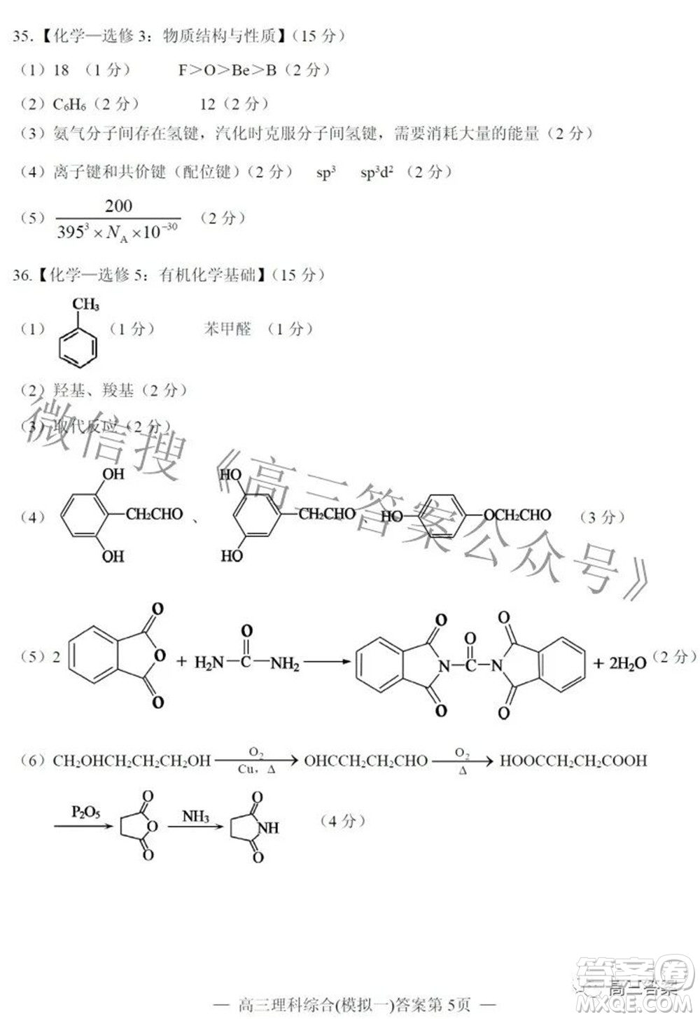 20220607項目第一次模擬測試卷理科綜合試題及答案