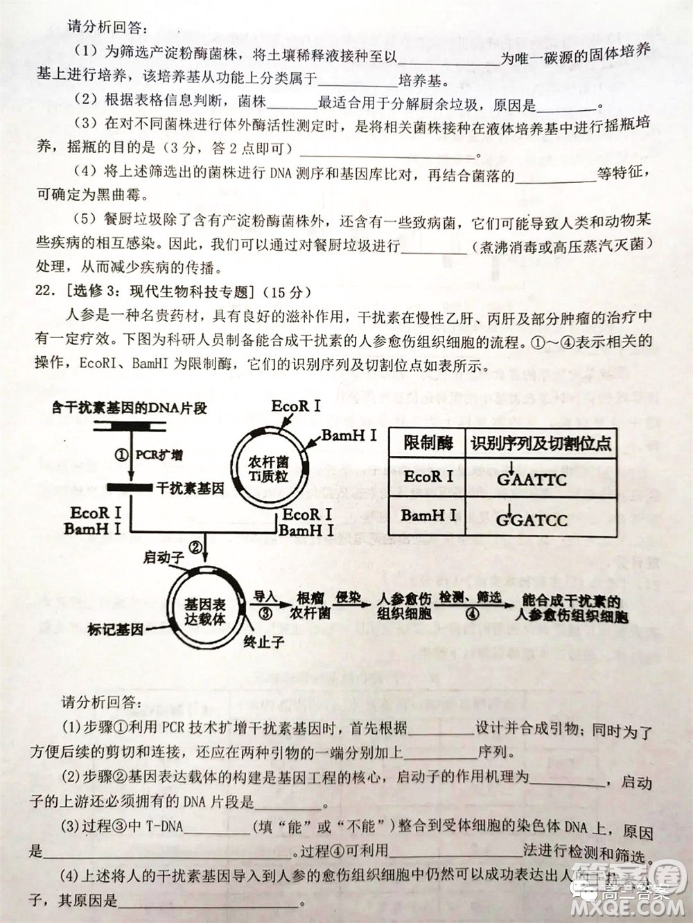 湖南2022年3月高三調(diào)研考試試卷生物學(xué)答案