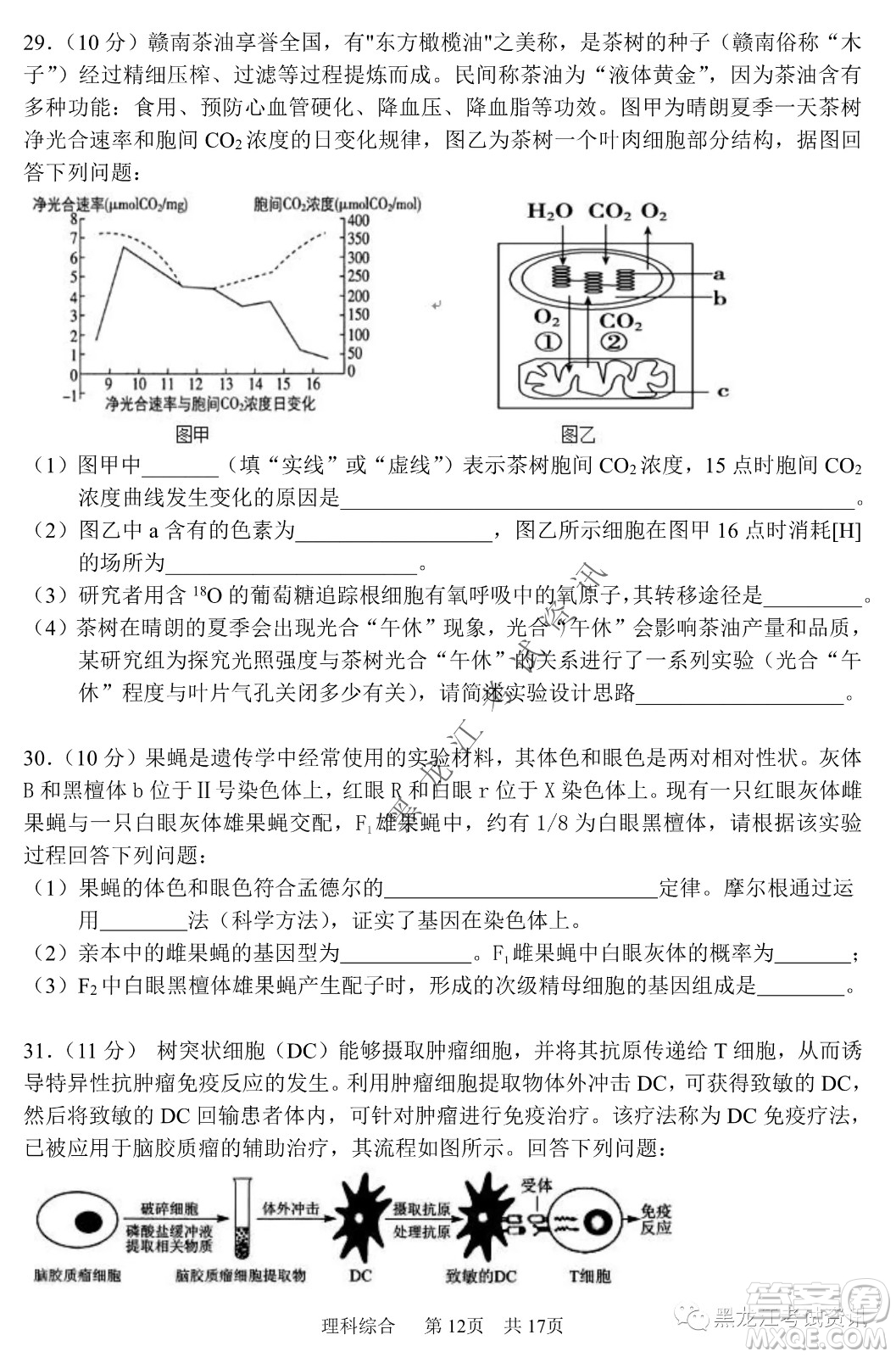 2022年哈三中第一次高考模擬考試?yán)砭C試卷及答案