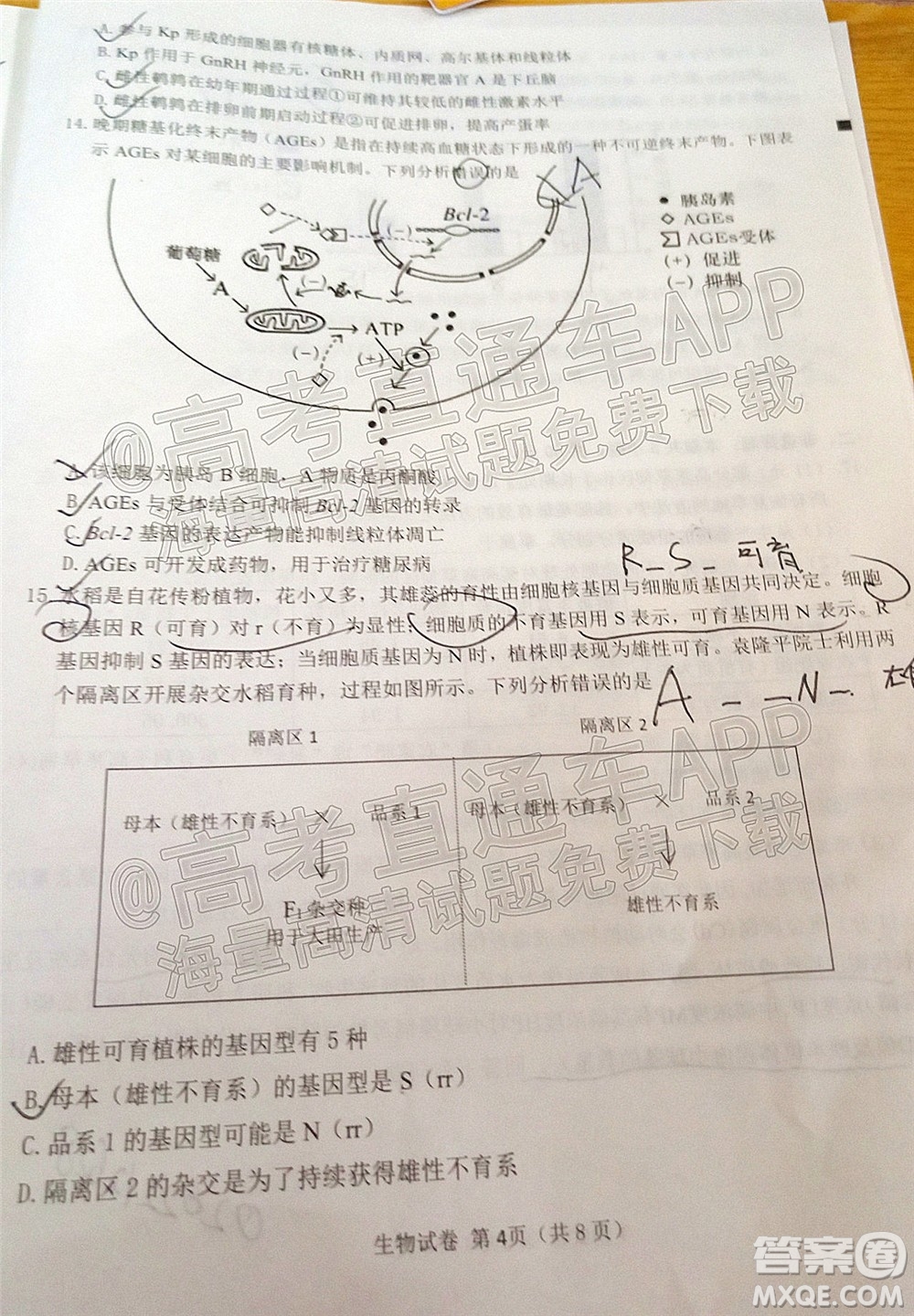 莆田市2022屆高中畢業(yè)班第二次教學(xué)質(zhì)量檢測試卷生物試題及答案