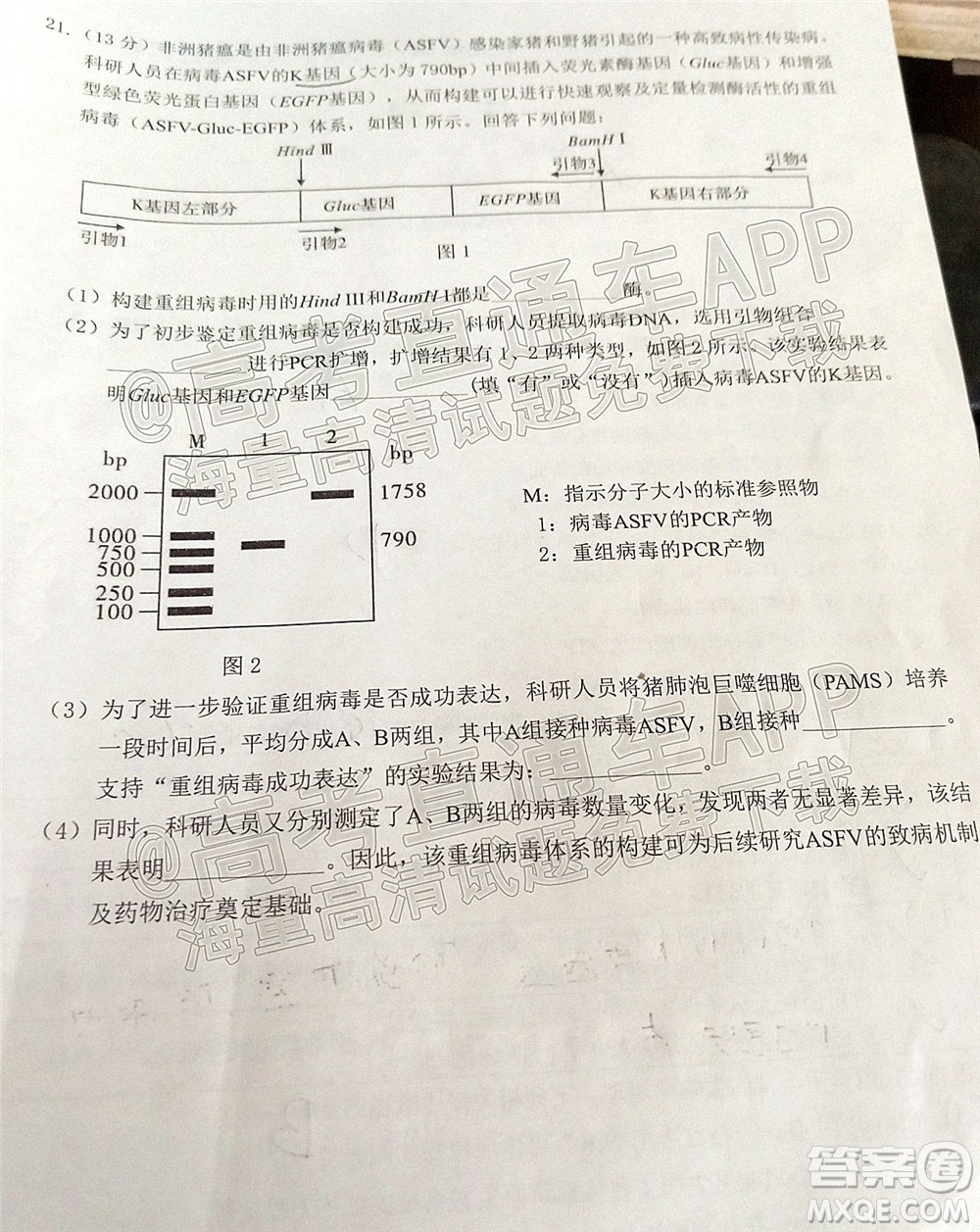 莆田市2022屆高中畢業(yè)班第二次教學(xué)質(zhì)量檢測試卷生物試題及答案