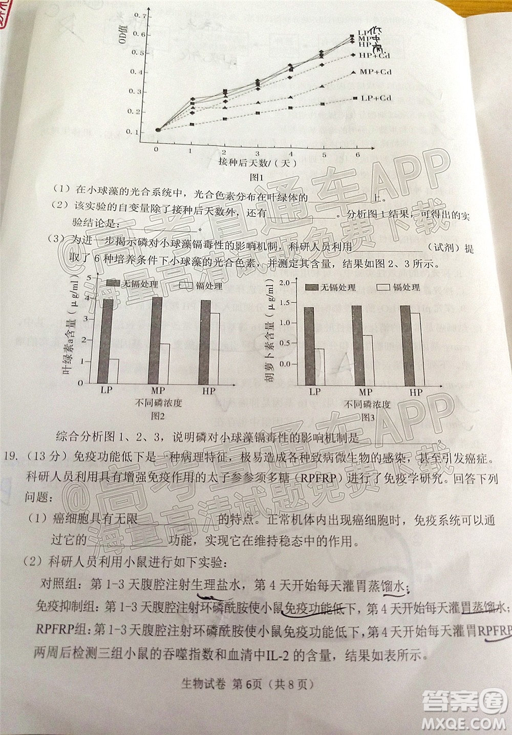 莆田市2022屆高中畢業(yè)班第二次教學(xué)質(zhì)量檢測試卷生物試題及答案