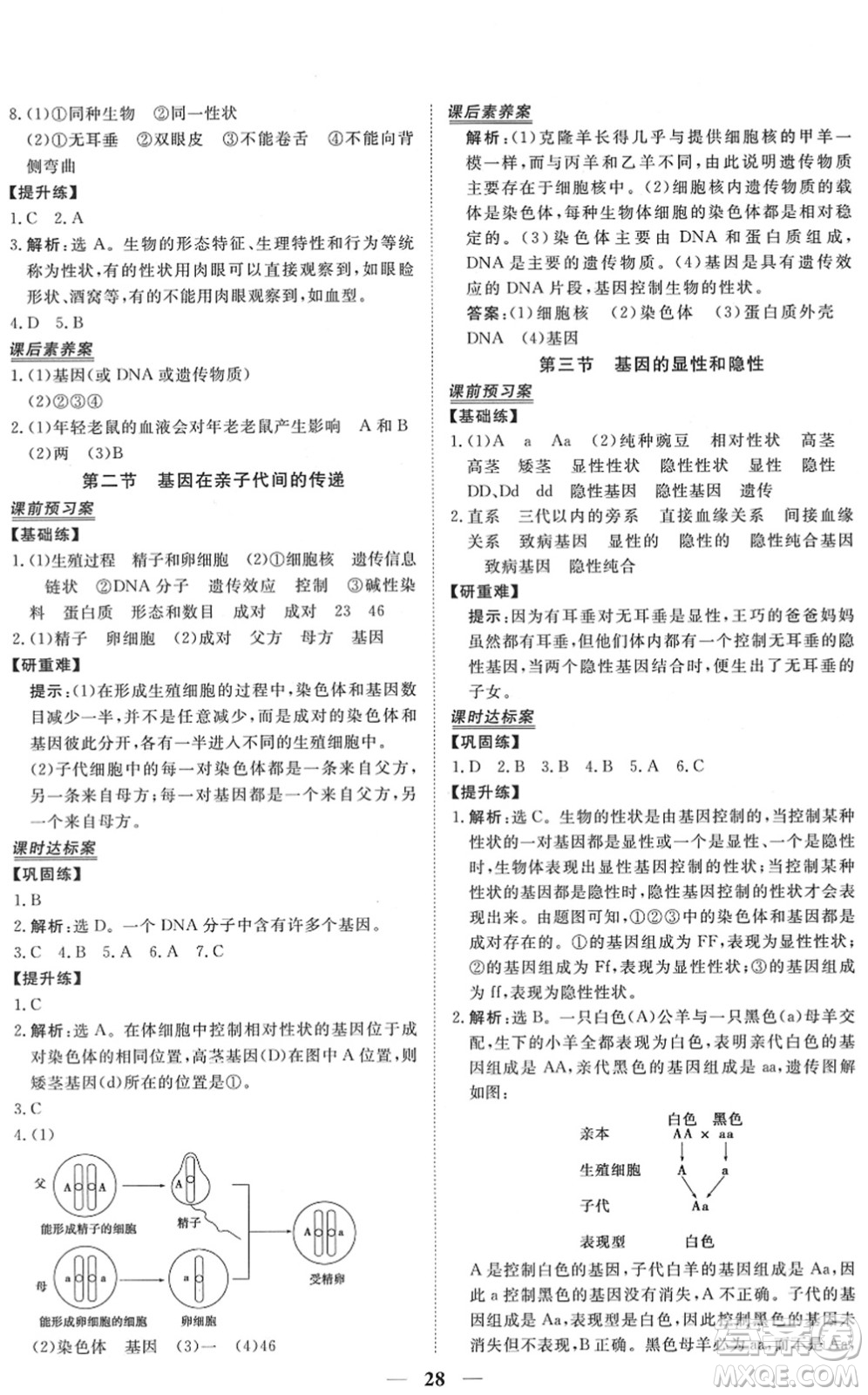 青海人民出版社2022新坐標(biāo)同步練習(xí)八年級(jí)生物下冊(cè)人教版青海專用答案