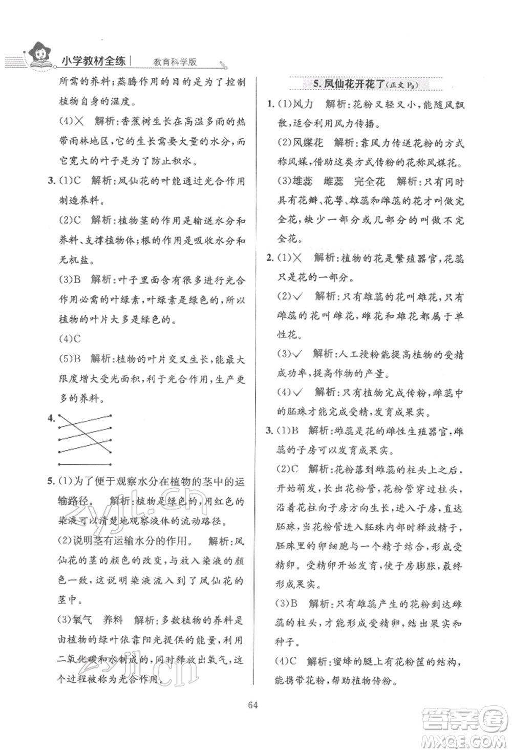 陜西人民教育出版社2022小學(xué)教材全練四年級科學(xué)下冊教育科學(xué)版參考答案