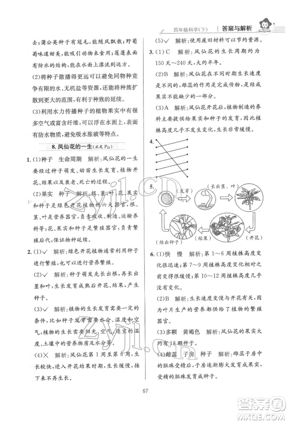 陜西人民教育出版社2022小學(xué)教材全練四年級科學(xué)下冊教育科學(xué)版參考答案