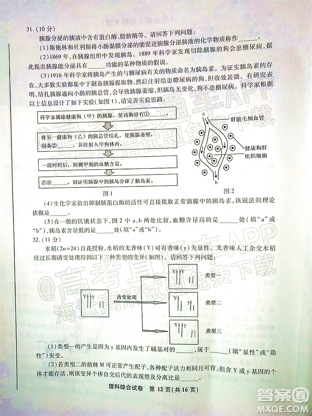 2022屆江南十校一模聯(lián)考理科綜合試題及答案