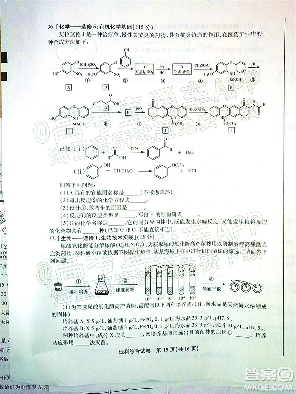 2022屆江南十校一模聯(lián)考理科綜合試題及答案