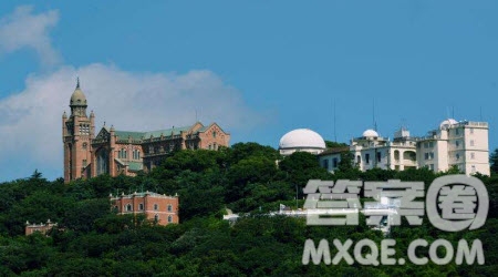 關于佘山國家森林公園的作文400字 與佘山國家森林公園相關的作文400字