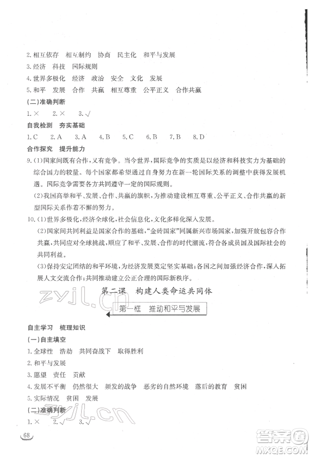 湖北教育出版社2022長江作業(yè)本同步練習(xí)冊九年級道德與法治下冊人教版參考答案