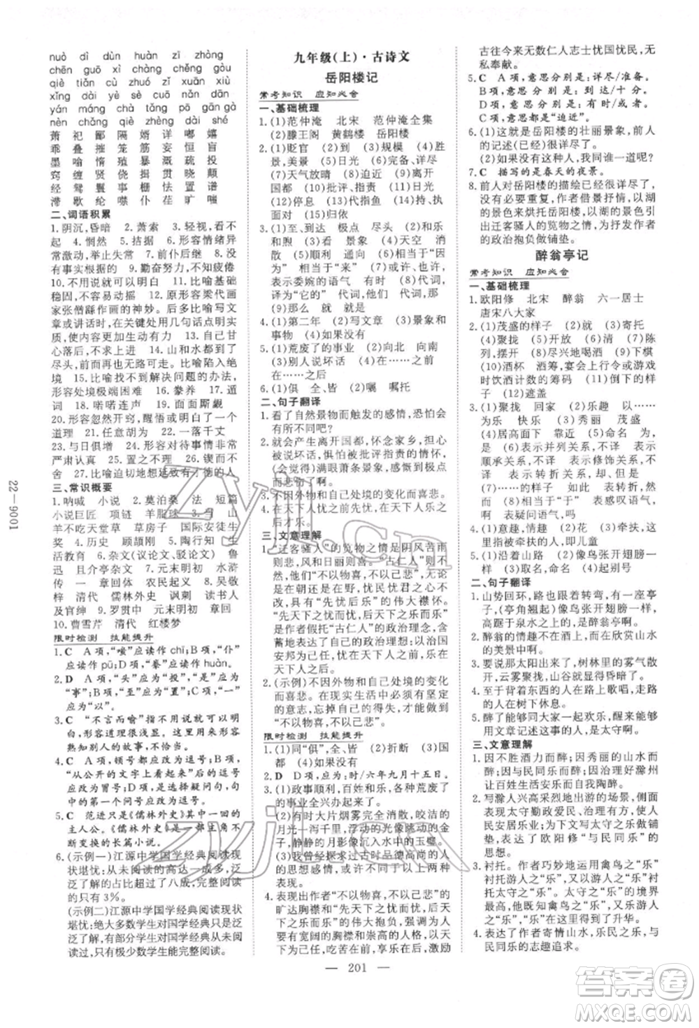 陜西人民教育出版社2022中考總復(fù)習(xí)導(dǎo)與練語(yǔ)文人教版參考答案