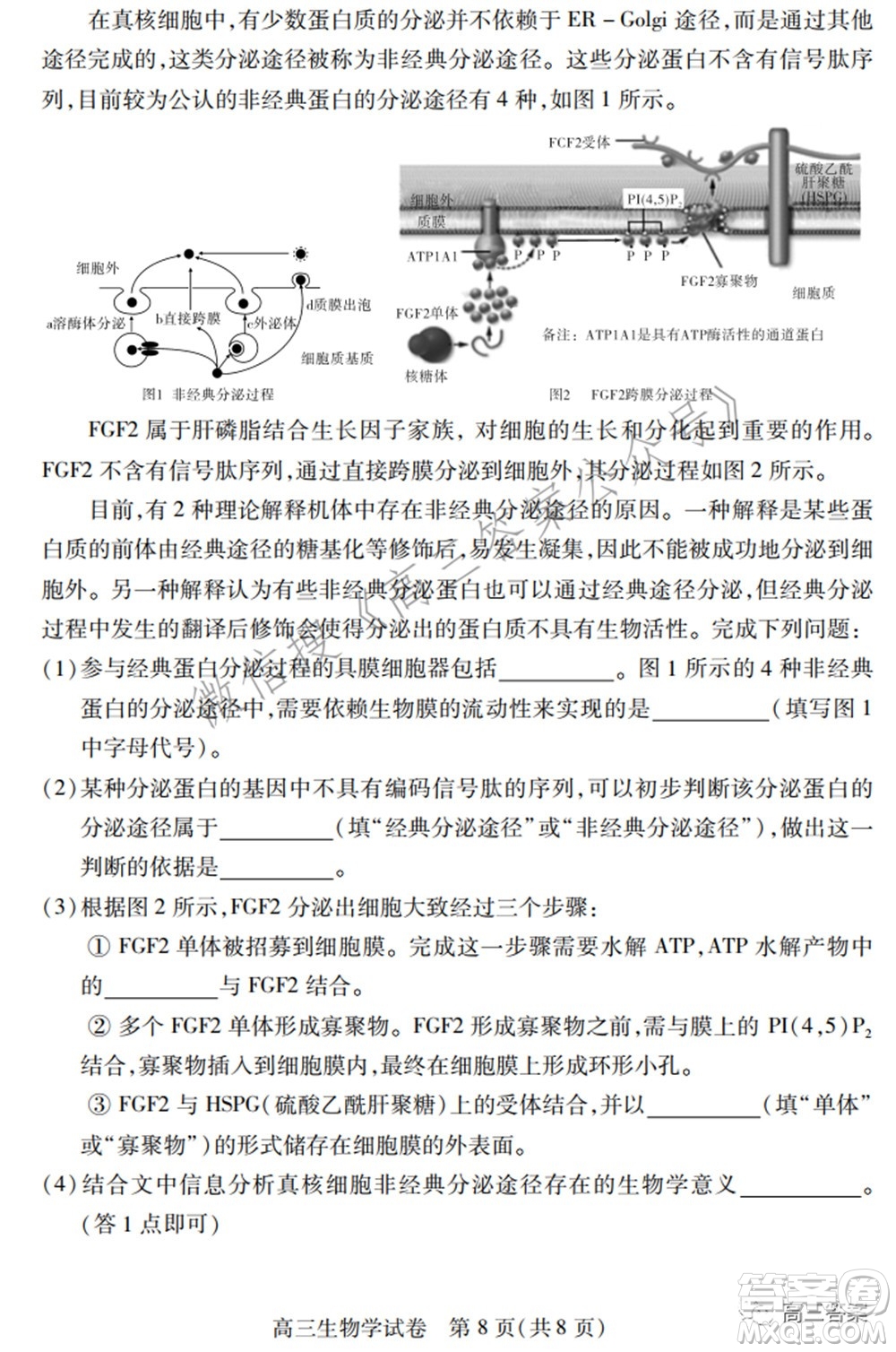 2022年湖北省七市州高三年級3月聯(lián)合統(tǒng)一調(diào)研測試?生物學(xué)試題及答案