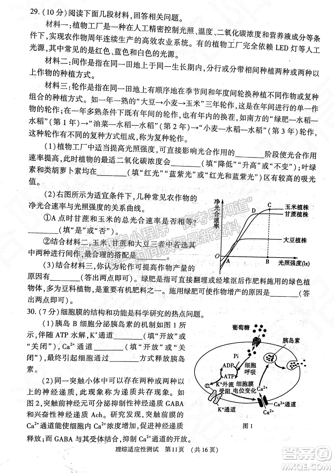 2022年河南省普通高中畢業(yè)班高考適應(yīng)性考試?yán)砜凭C合能力測試試卷及答案