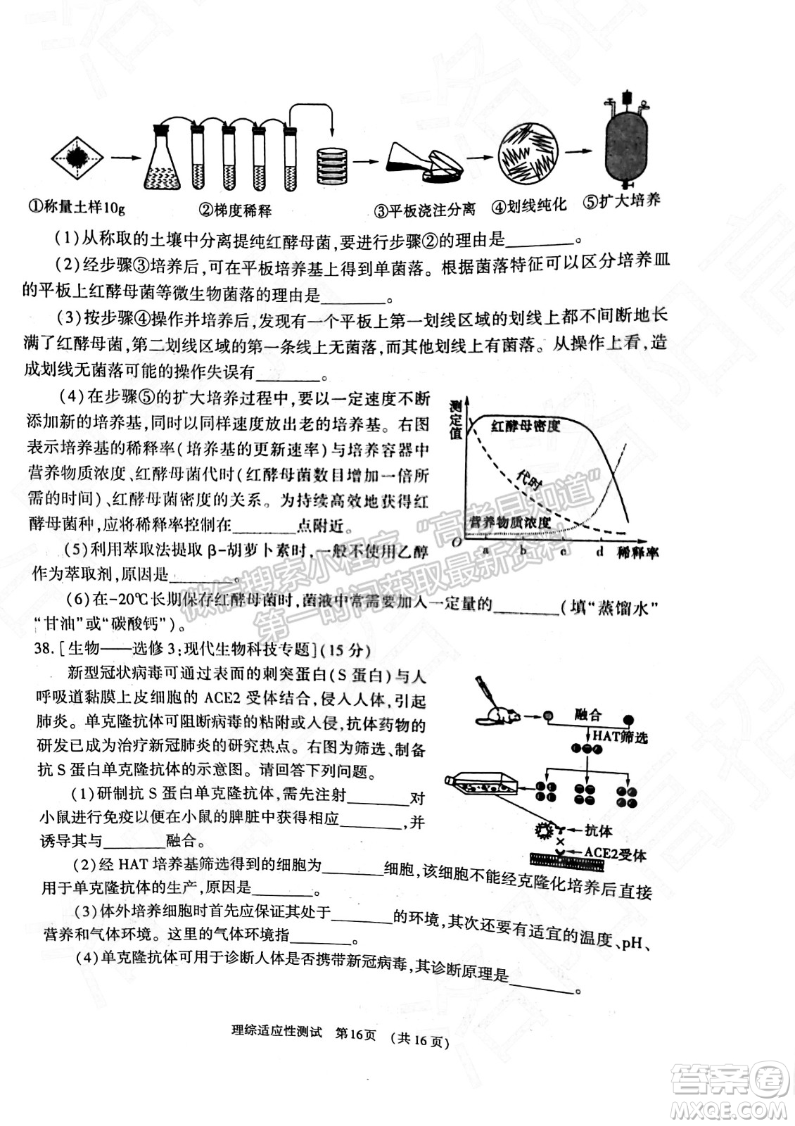 2022年河南省普通高中畢業(yè)班高考適應(yīng)性考試?yán)砜凭C合能力測試試卷及答案