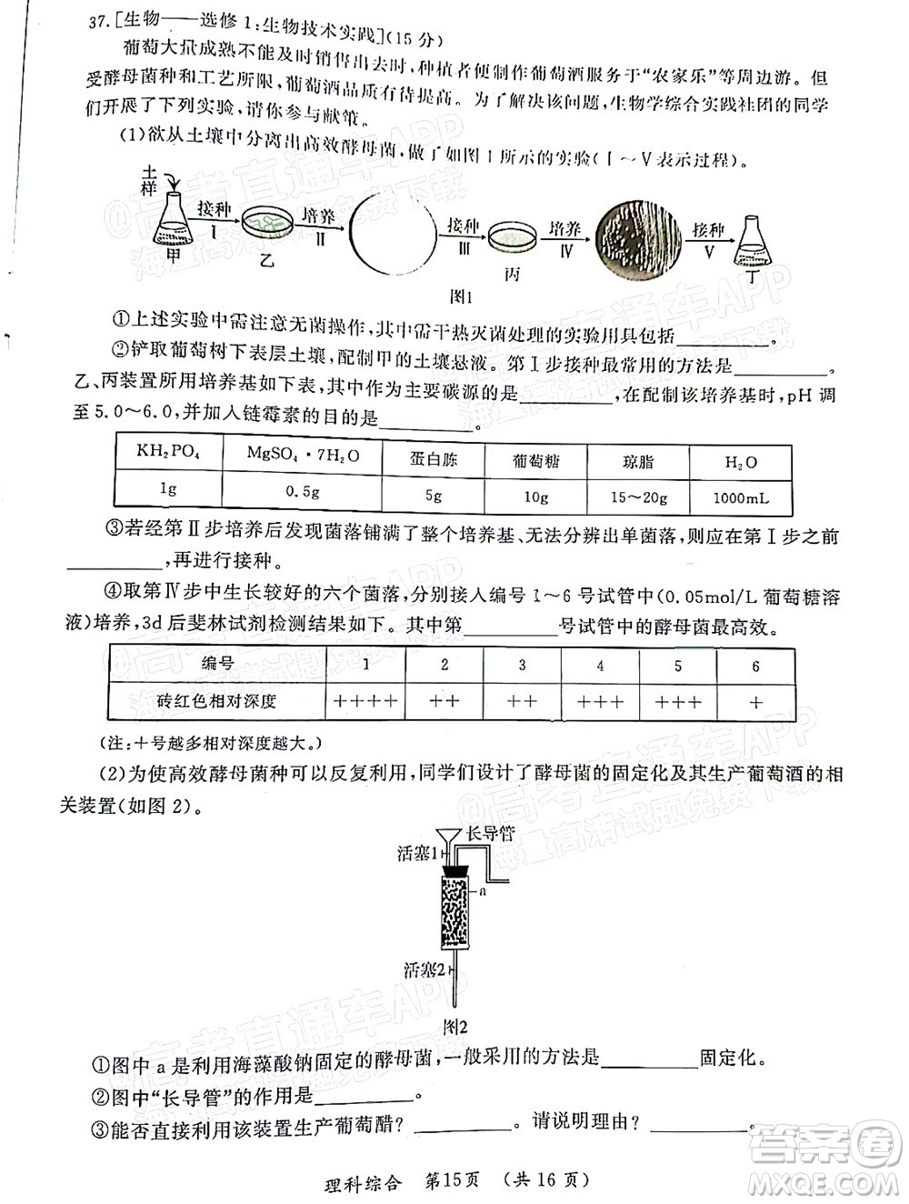 河南開封市2022屆高三第二次模擬考試?yán)砜凭C合試題及答案