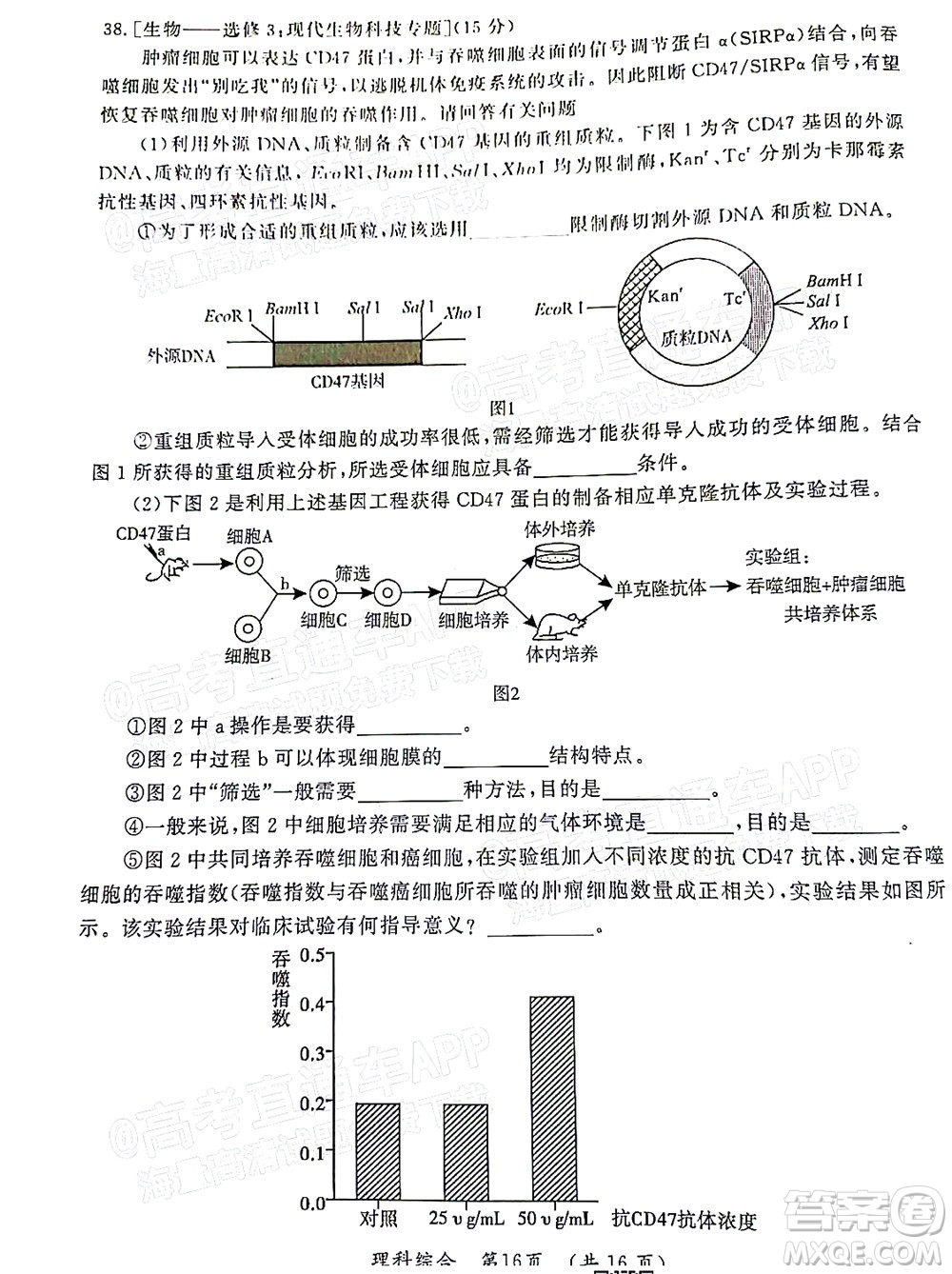 河南開封市2022屆高三第二次模擬考試?yán)砜凭C合試題及答案