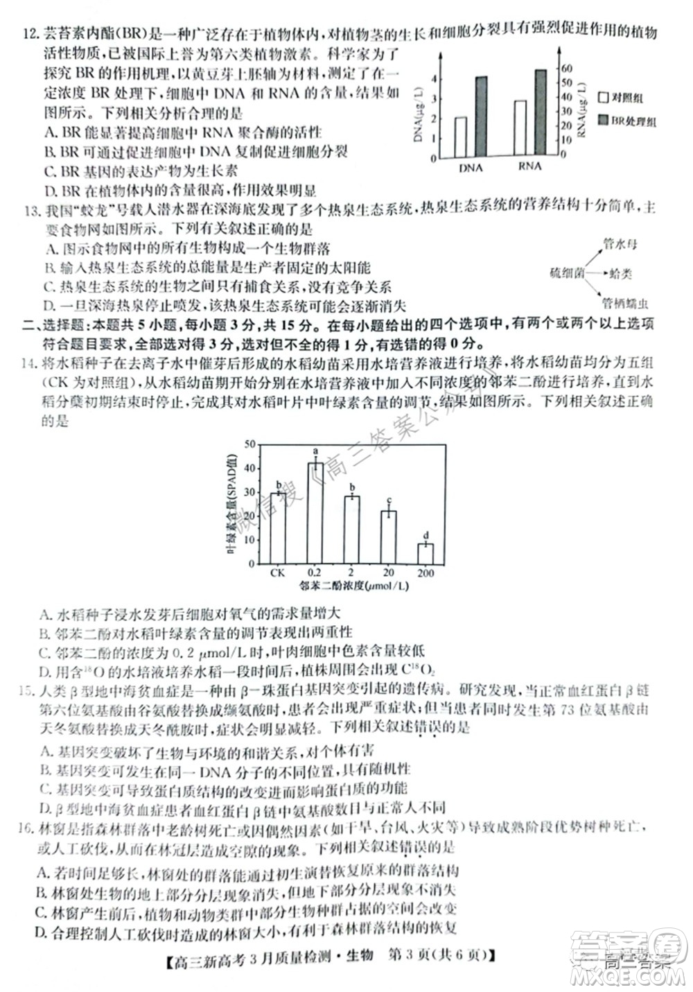 2022屆九師聯(lián)盟高三新高考3月質(zhì)量檢測高三生物試題及答案