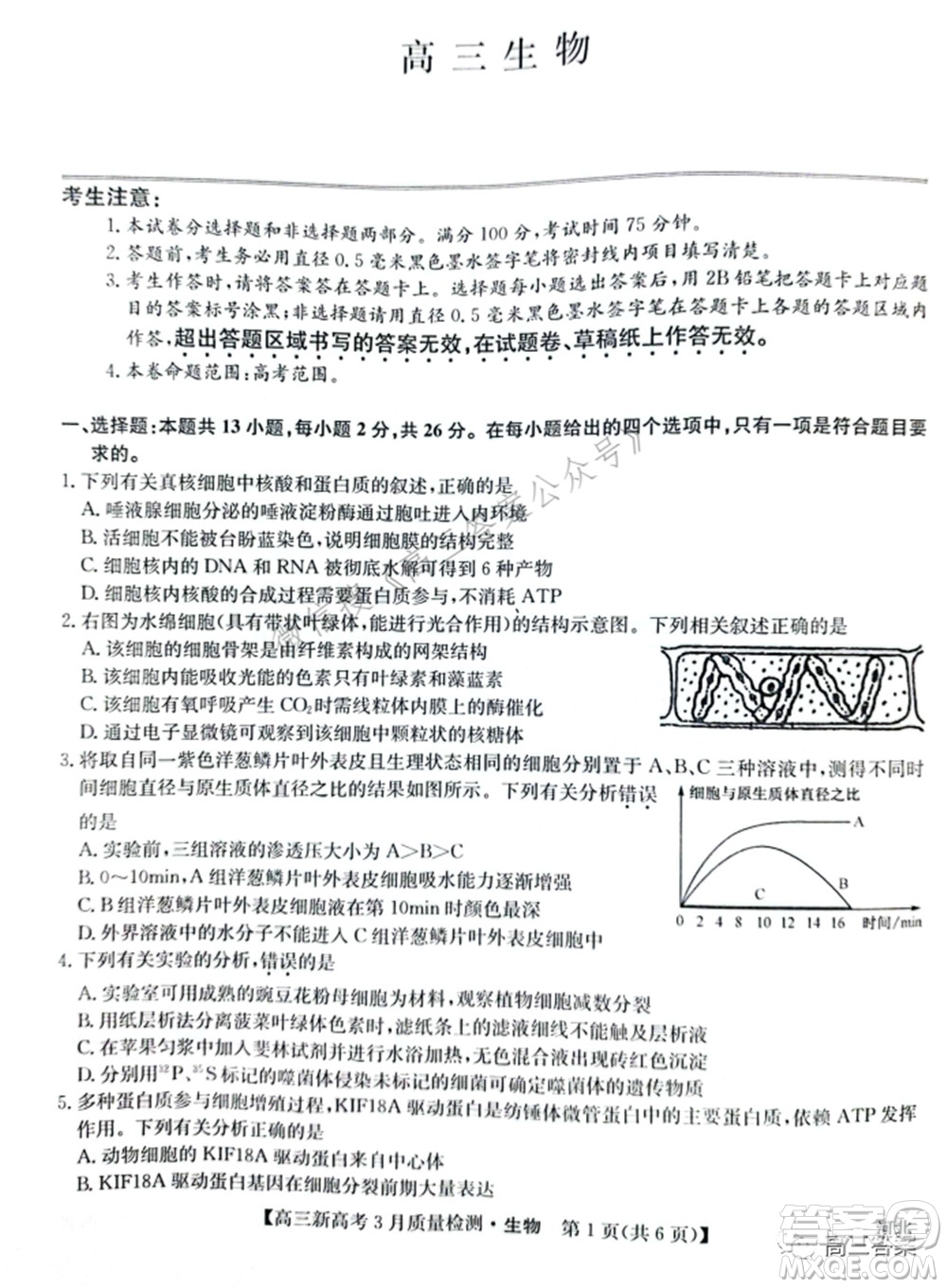 2022屆九師聯(lián)盟高三新高考3月質(zhì)量檢測高三生物試題及答案