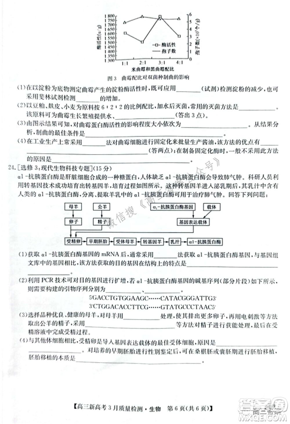 2022屆九師聯(lián)盟高三新高考3月質(zhì)量檢測高三生物試題及答案