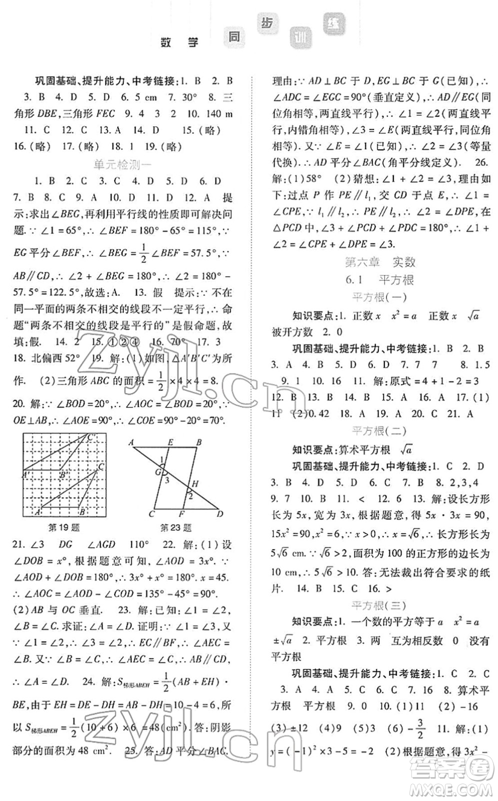 河北人民出版社2022同步訓(xùn)練七年級(jí)數(shù)學(xué)下冊(cè)人教版答案