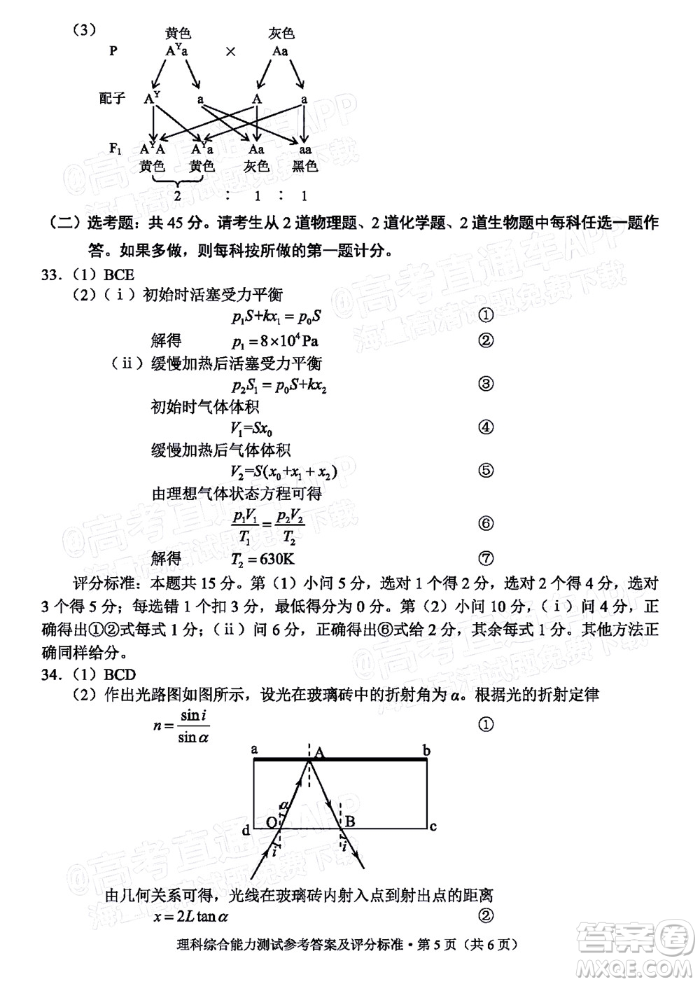 2022年云南省第一次高中畢業(yè)生復(fù)習(xí)統(tǒng)一檢測(cè)理科綜合試題及答案