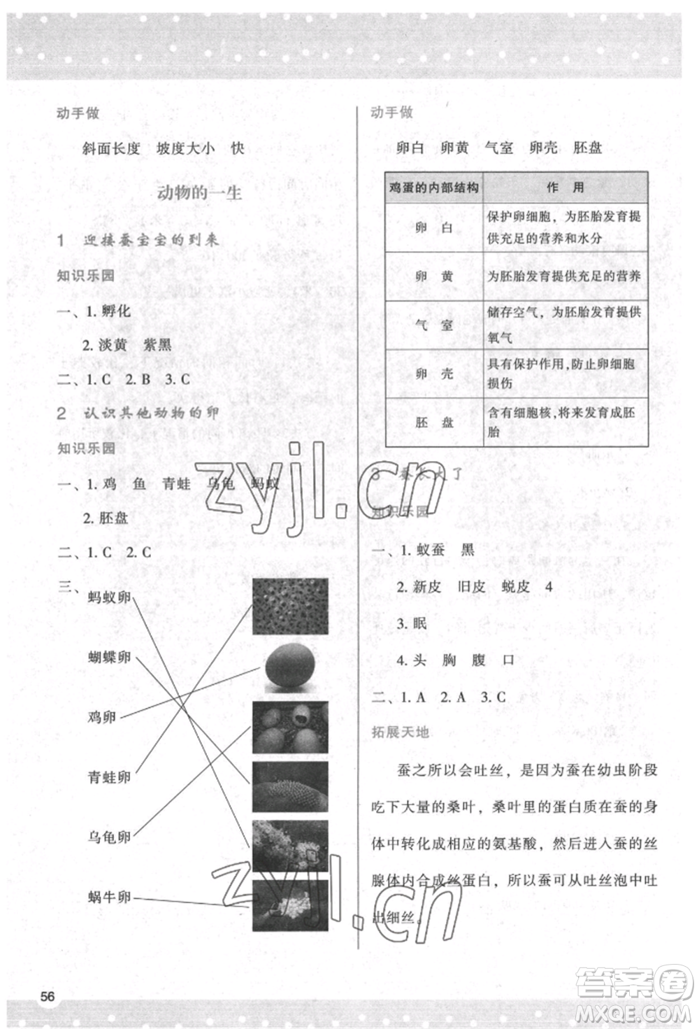 陜西人民教育出版社2022新課程學(xué)習(xí)與評(píng)價(jià)三年級(jí)科學(xué)下冊(cè)教科版參考答案