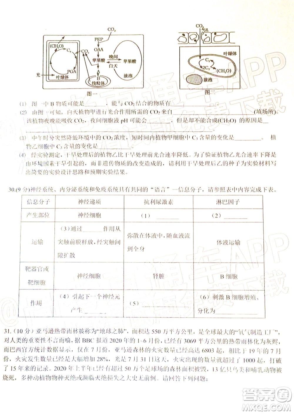 2022年江西省六校高三3月聯(lián)考理科綜合試題及答案