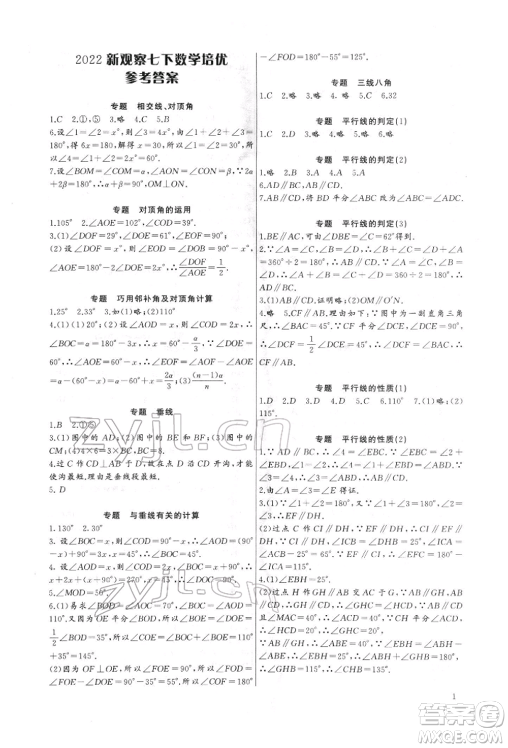 長江少年兒童出版社2022思維新觀察培優(yōu)講練七年級下冊數(shù)學人教版參考答案