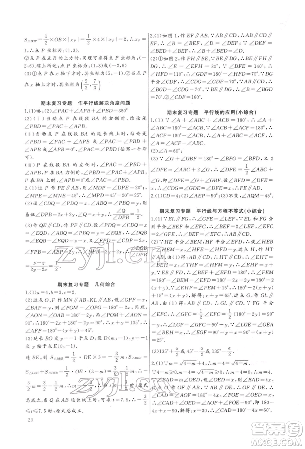 長江少年兒童出版社2022思維新觀察培優(yōu)講練七年級下冊數(shù)學人教版參考答案