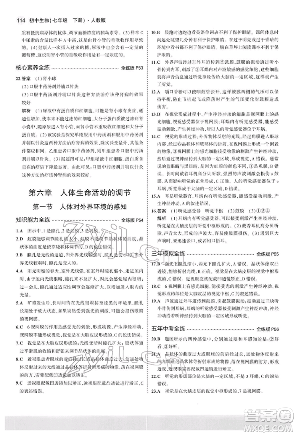 首都師范大學出版社2022年5年中考3年模擬七年級生物下冊人教版參考答案