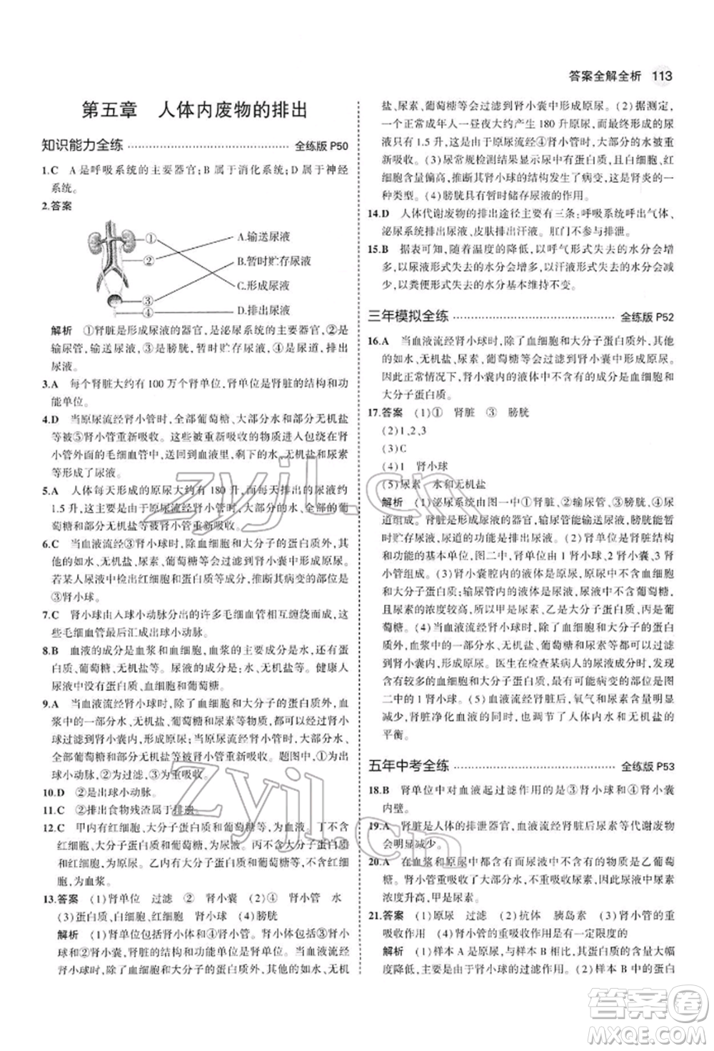 首都師范大學出版社2022年5年中考3年模擬七年級生物下冊人教版參考答案