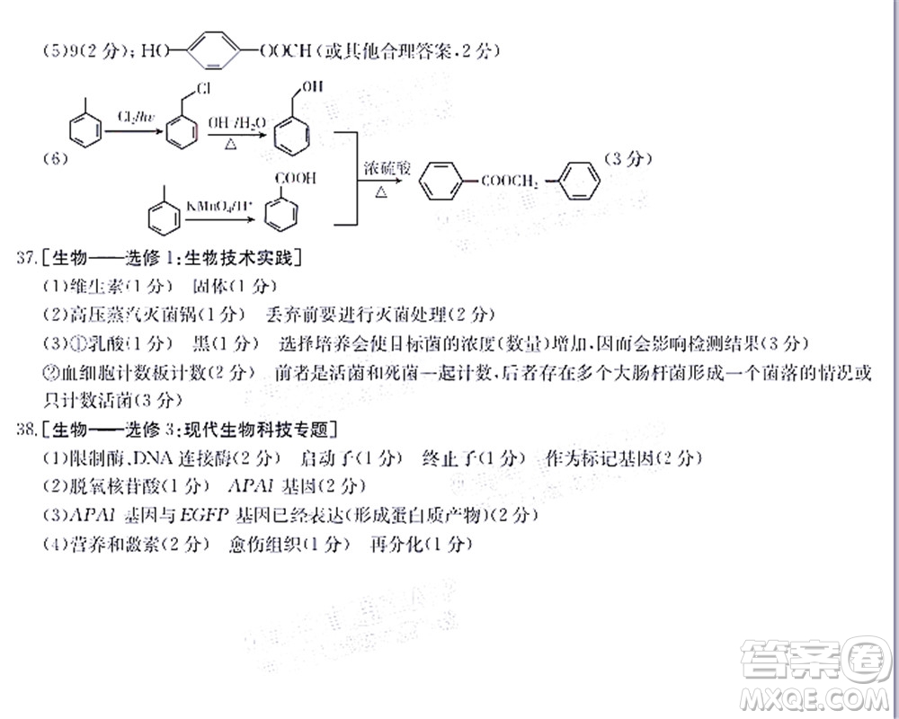 2022屆畢節(jié)市高三3月統(tǒng)考理科綜合試題及答案