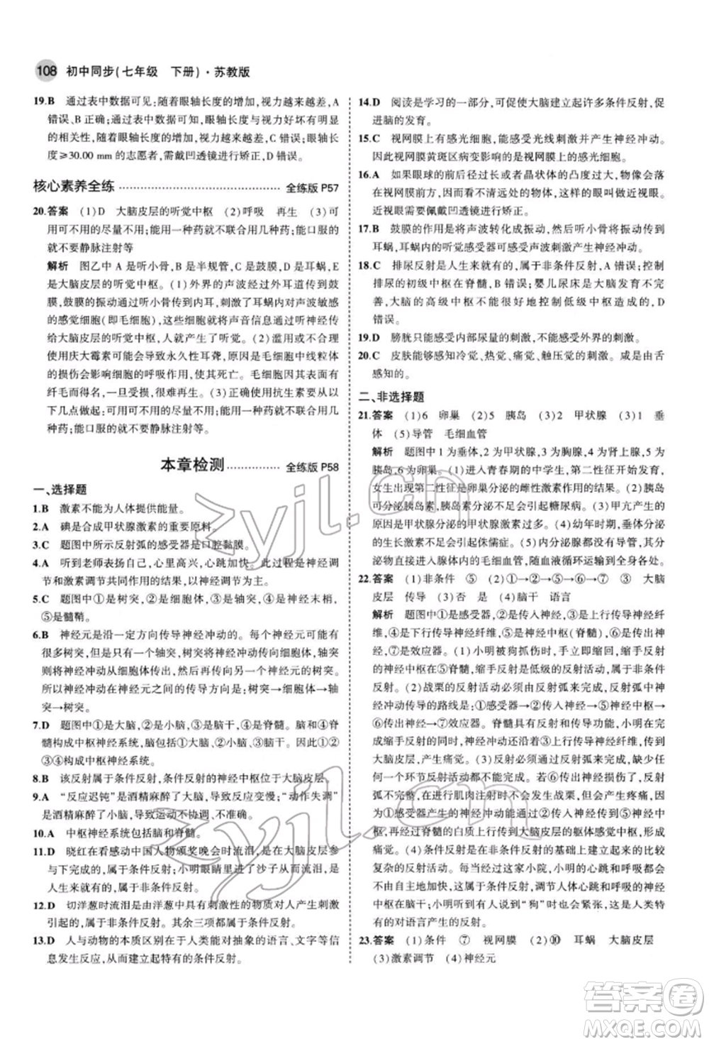 首都師范大學出版社2022年5年中考3年模擬七年級生物下冊蘇教版參考答案