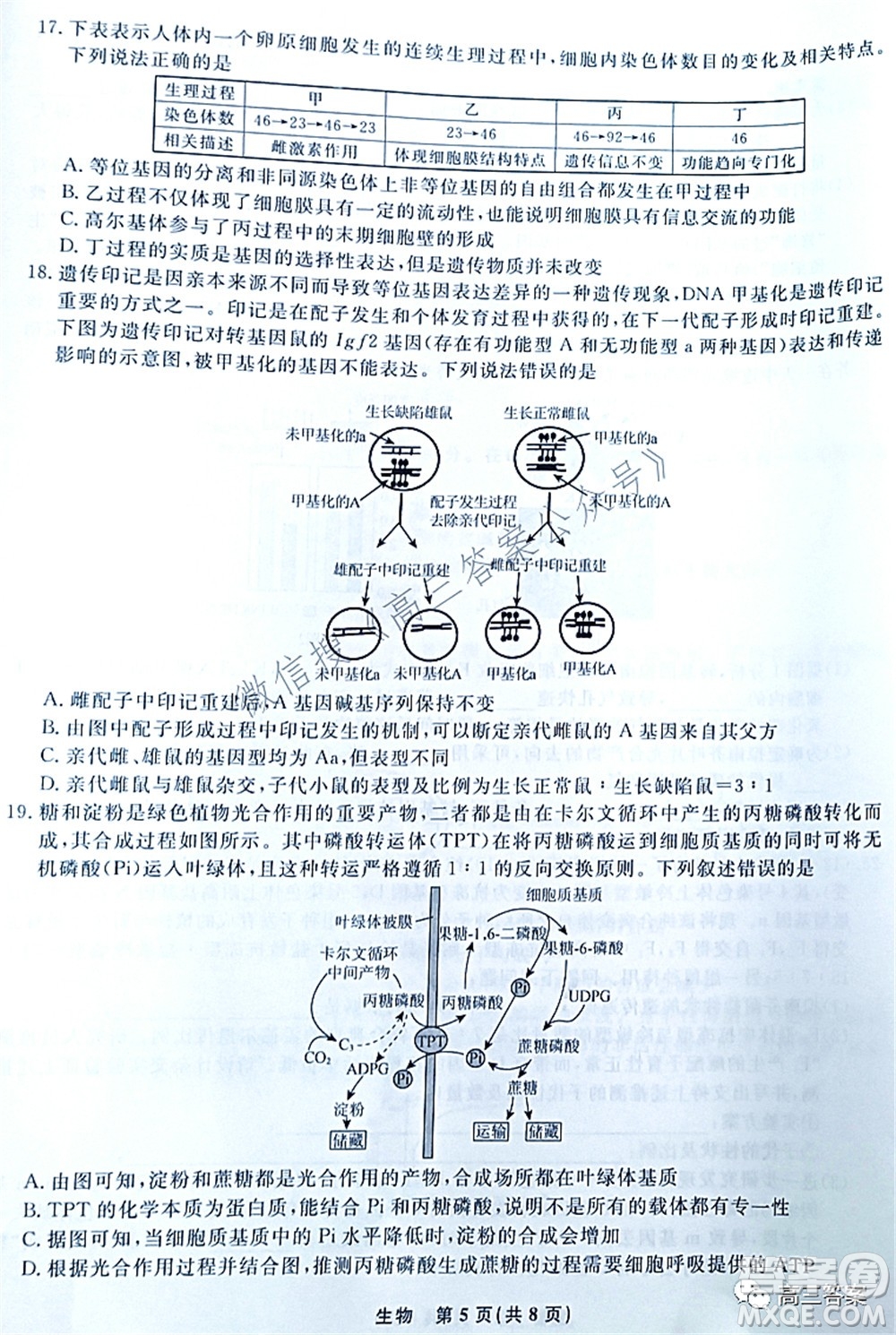 遼寧縣級(jí)重點(diǎn)高中協(xié)作體2022屆高三一?？荚嚿镌囶}及答案