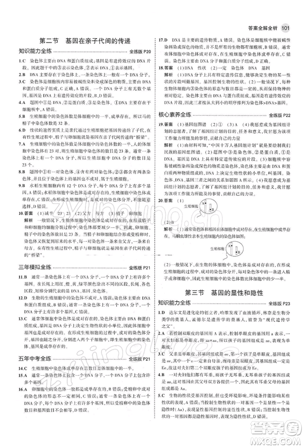 首都師范大學出版社2022年5年中考3年模擬八年級生物下冊人教版參考答案