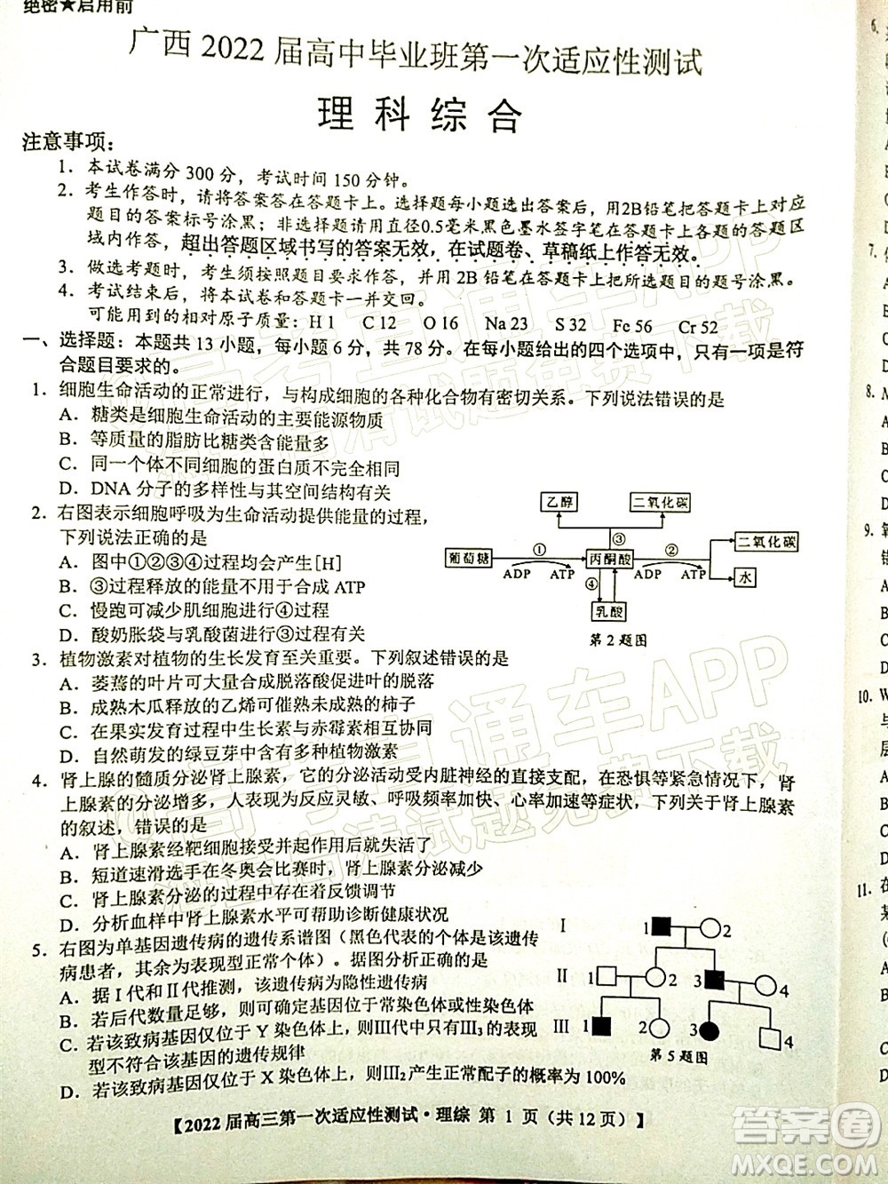 廣西2022屆高中畢業(yè)班第一次適應性測試理科綜合試題及答案