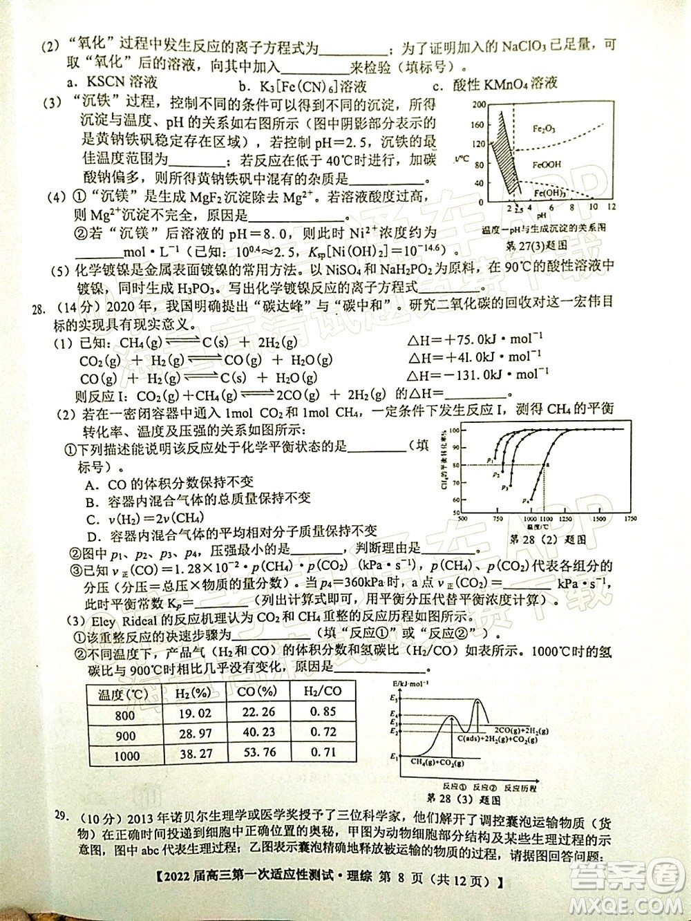 廣西2022屆高中畢業(yè)班第一次適應性測試理科綜合試題及答案