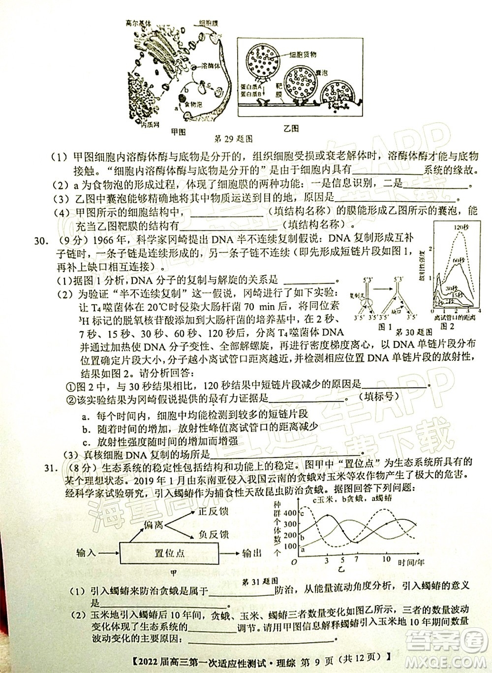 廣西2022屆高中畢業(yè)班第一次適應性測試理科綜合試題及答案