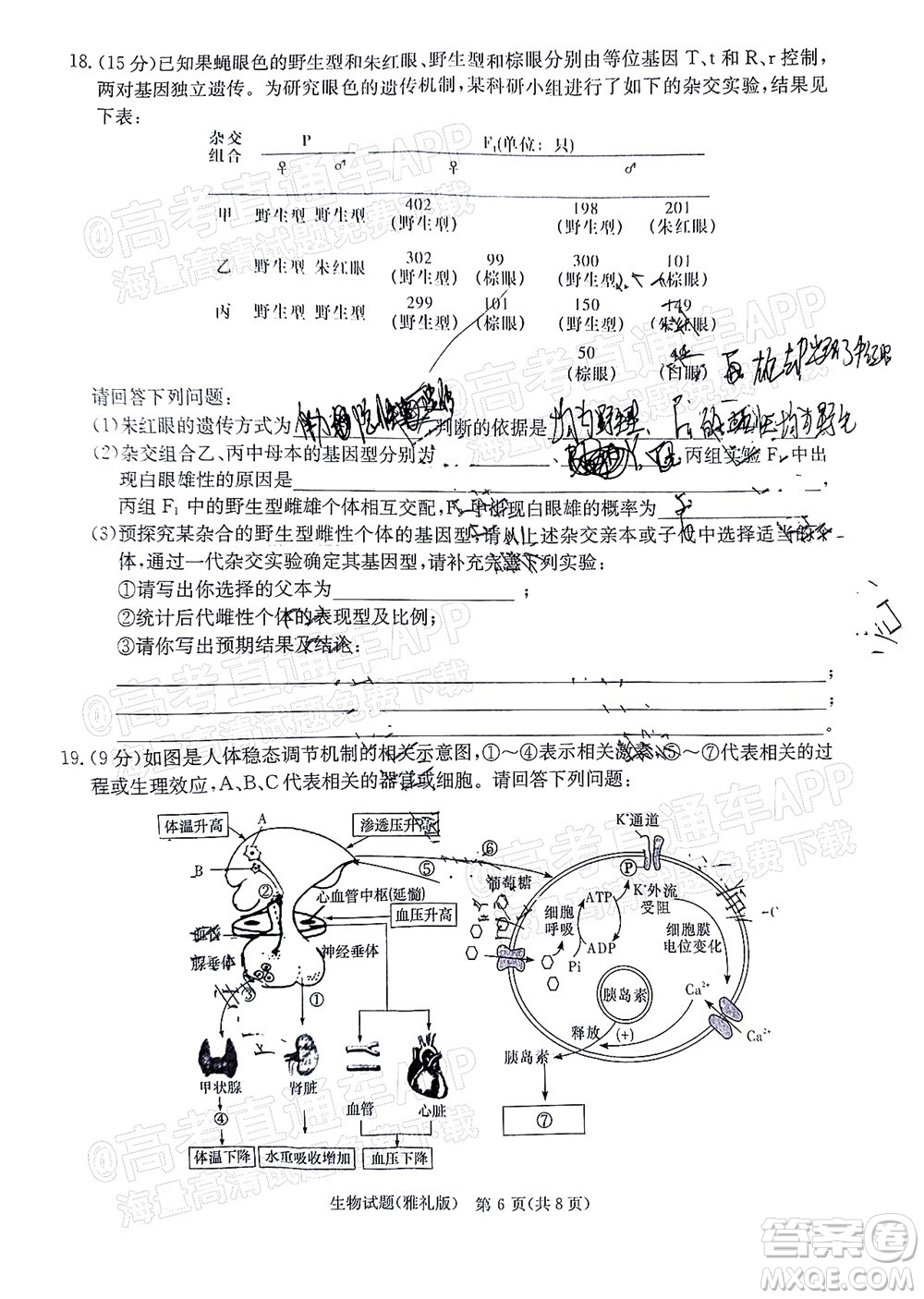 炎德英才大聯(lián)考雅禮中學2022屆高三月考試卷七生物試題及答案