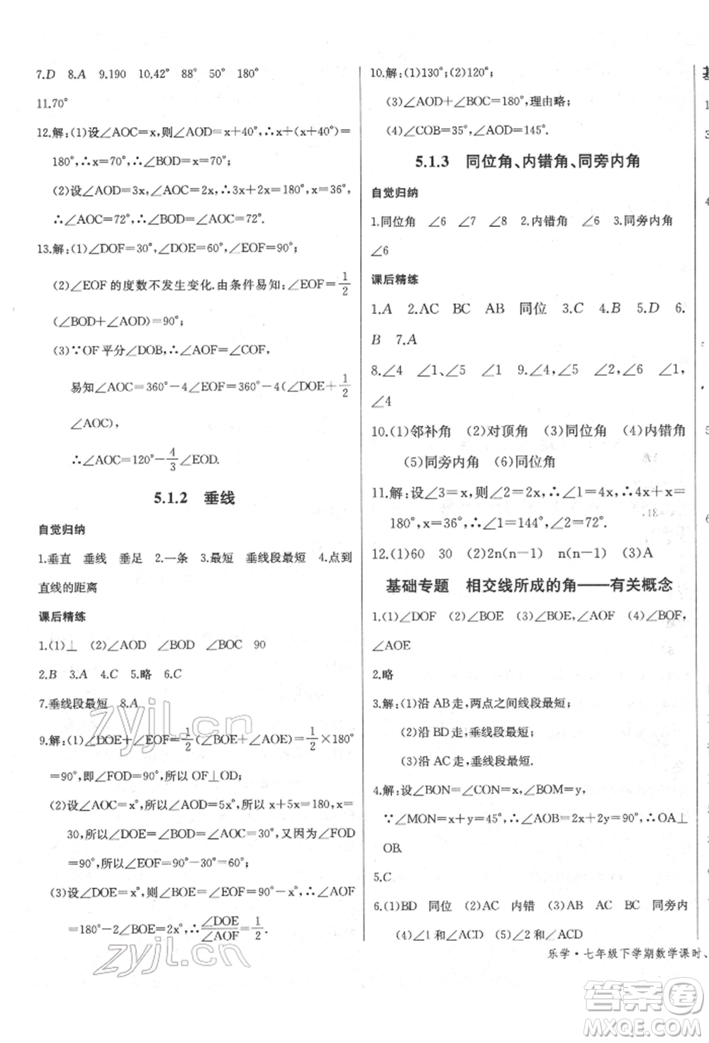 長江少年兒童出版社2022樂學課堂課時學講練七年級數(shù)學下冊人教版參考答案