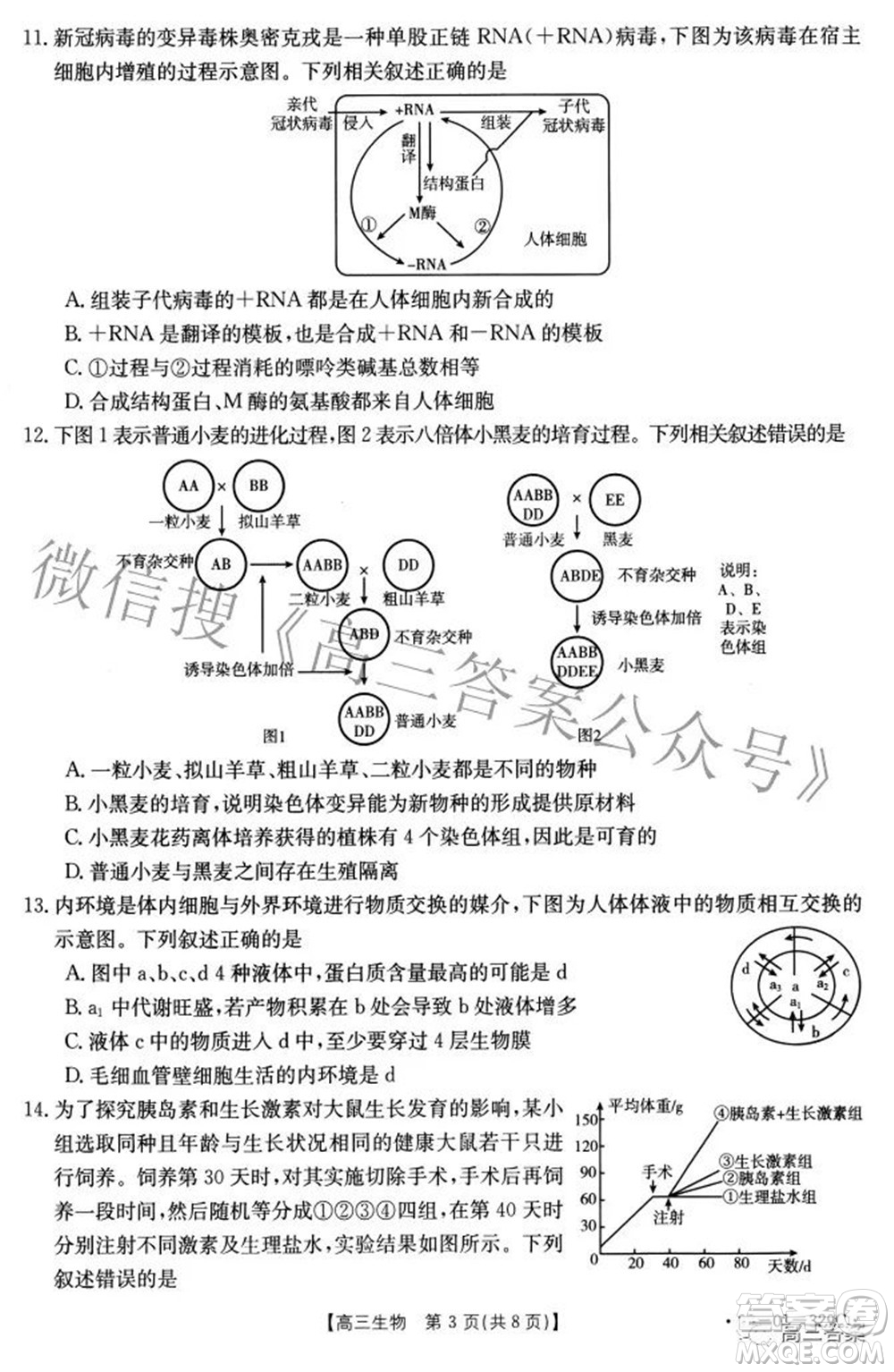 2022屆重慶金太陽(yáng)高三3月聯(lián)考生物試題及答案