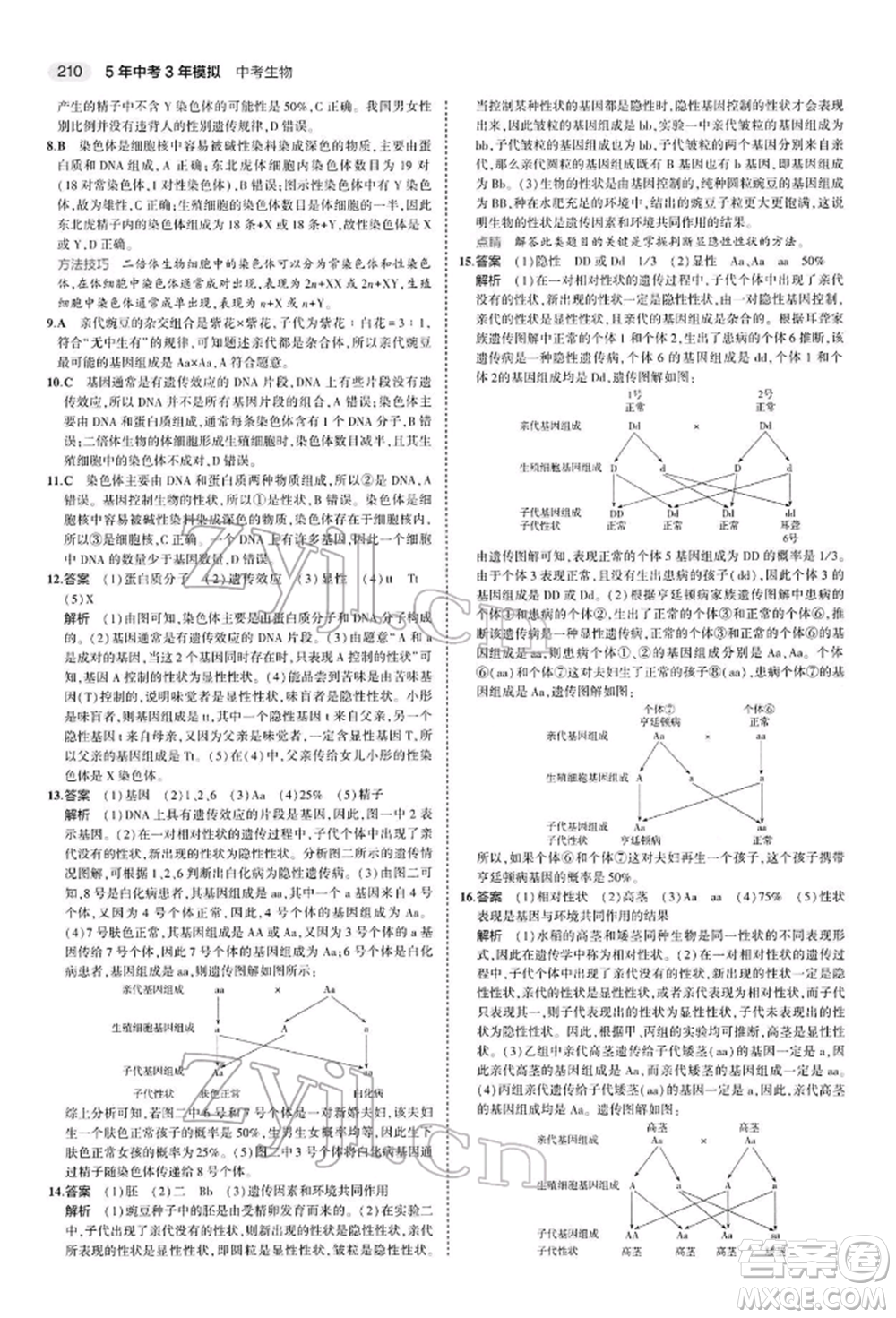 首都師范大學(xué)出版社2022年5年中考3年模擬中考生物人教版參考答案