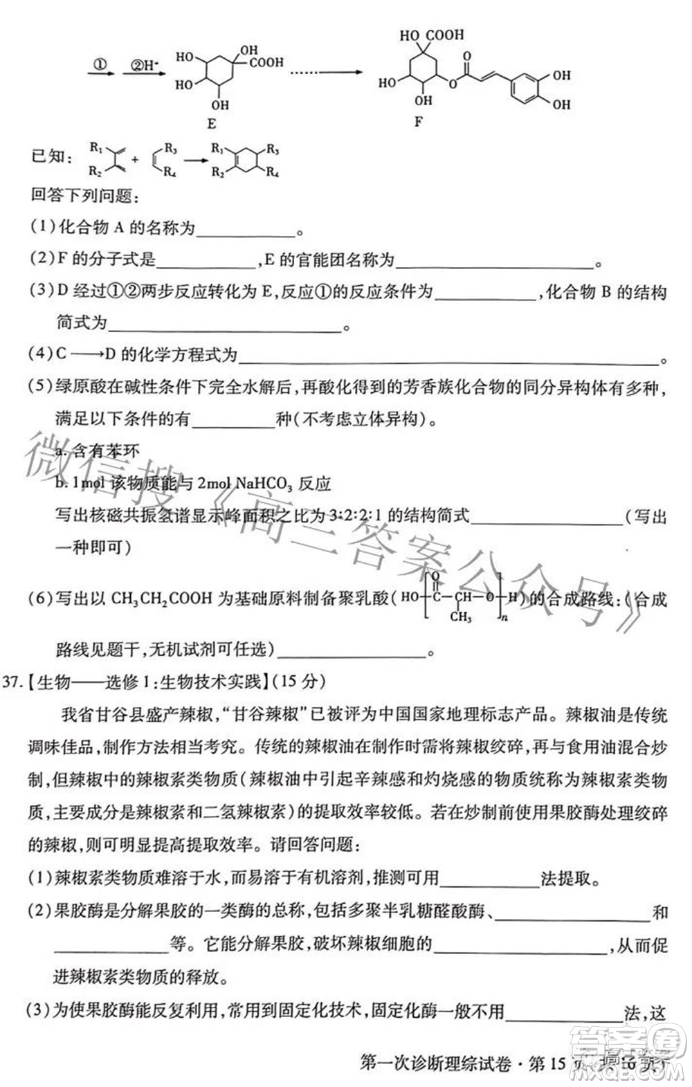 2022年甘肅省第一次高考診斷考試?yán)砜凭C合試題及答案