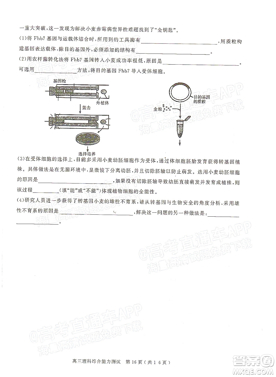 2022年河南省六市高三第一次聯(lián)合調研檢測理科綜合試題及答案